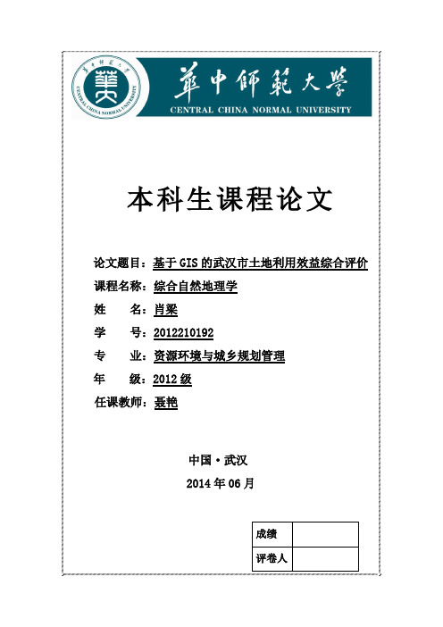 基于GIS的武汉市土地利用效益综合评价20140626(综合自然地理学期末论文)