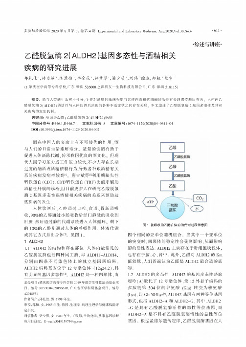 乙醛脱氢酶2(ALDH2)基因多态性与酒精相关疾病的研究进展