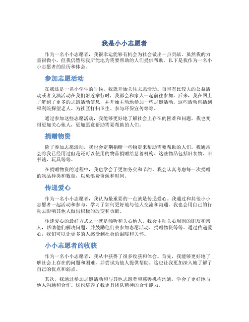 我是小小志愿者作文450字