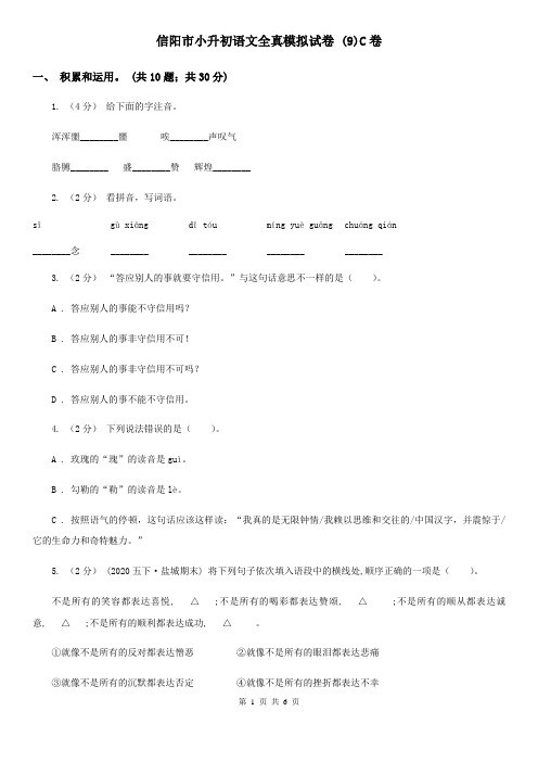 信阳市小升初语文全真模拟试卷 (9)C卷