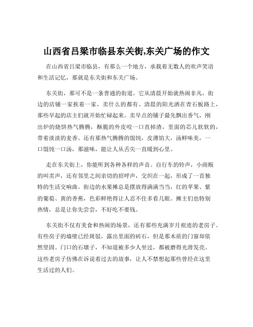 山西省吕梁市临县东关街,东关广场的作文