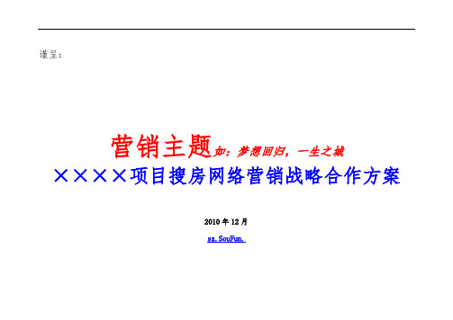 区域炒作类项目网络营销战略合作方案(模板)