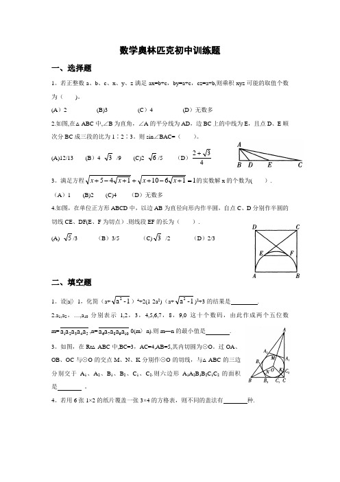 初中数学奥赛练习题