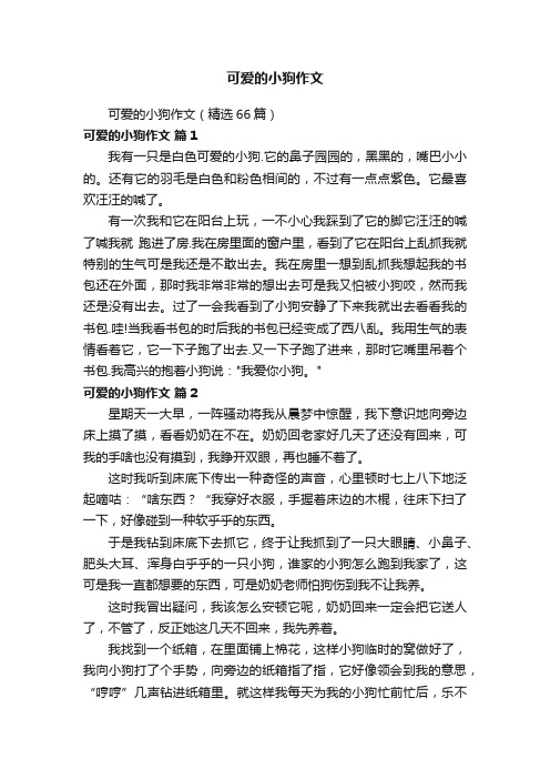 可爱的小狗作文（精选66篇）