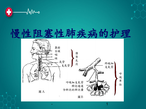 第九章老年人呼吸系统常见疾病的护理ppt课件