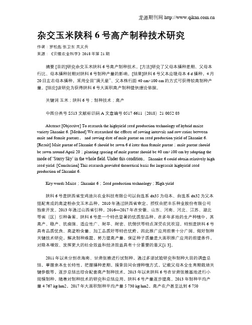 杂交玉米陕科6号高产制种技术研究