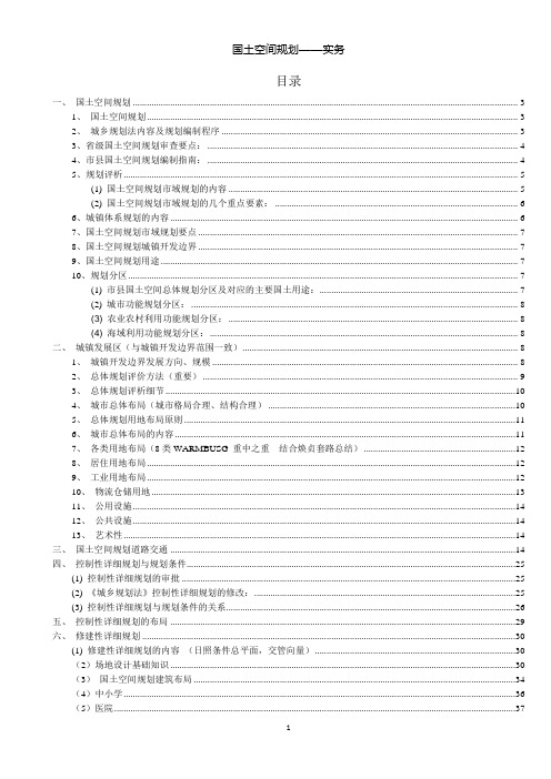 国土空间规划实务