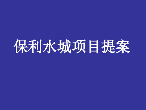 佛山保利水城购物中心项目营销提案