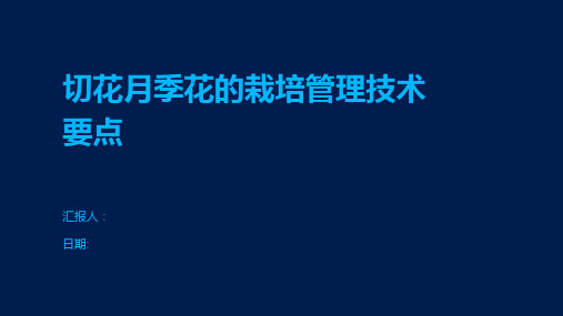 切花月季花的栽培管理技术要点