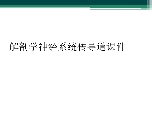 解剖学神经系统传导道课件