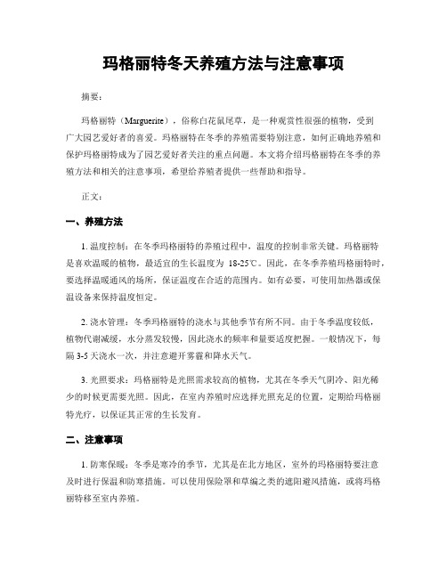 玛格丽特冬天养殖方法与注意事项