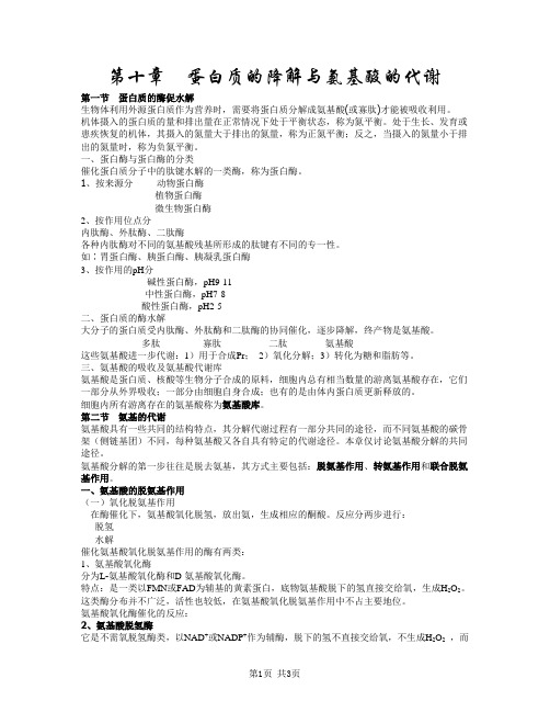 生物化学知识点整理笔记10 蛋白质的降解与氨基酸代谢