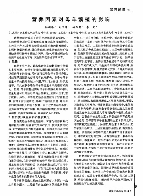 营养因素对母羊繁殖的影响