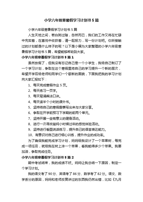 小学六年级寒暑假学习计划书5篇