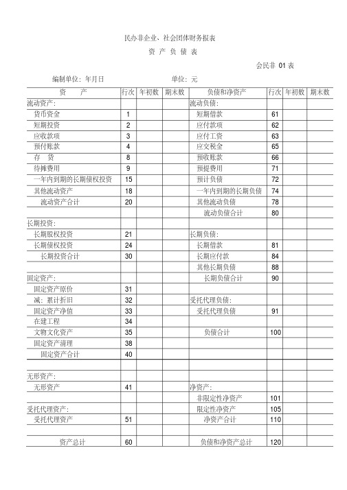 社会团体财务报表-新版.pdf