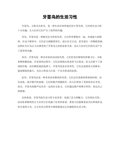 牙签鸟的生活习性