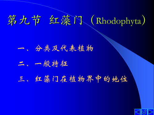 红藻门(Rhodophyta)