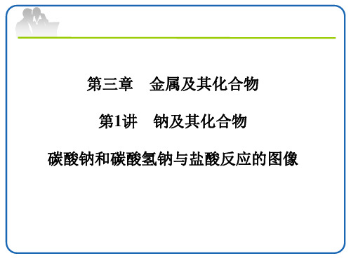 碳酸钠和碳酸氢钠与盐酸反应课件