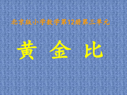 六年级下册数学黄金比北京版 (2)