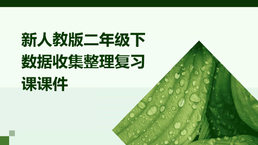 新人教版二年级下数据收集整理复习课课件