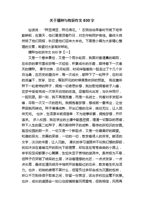 关于播种与收获作文800字