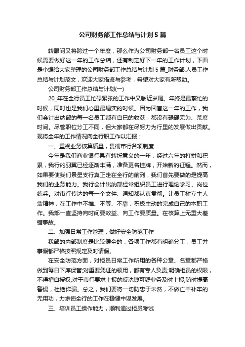 公司财务部工作总结与计划5篇