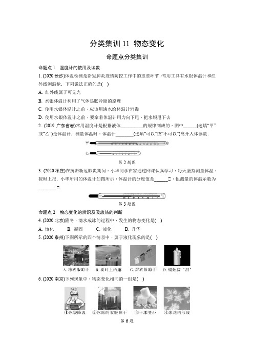 中考物理分类集训11 物态变化