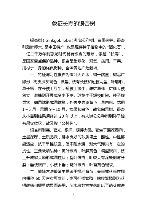 象征长寿的银杏树