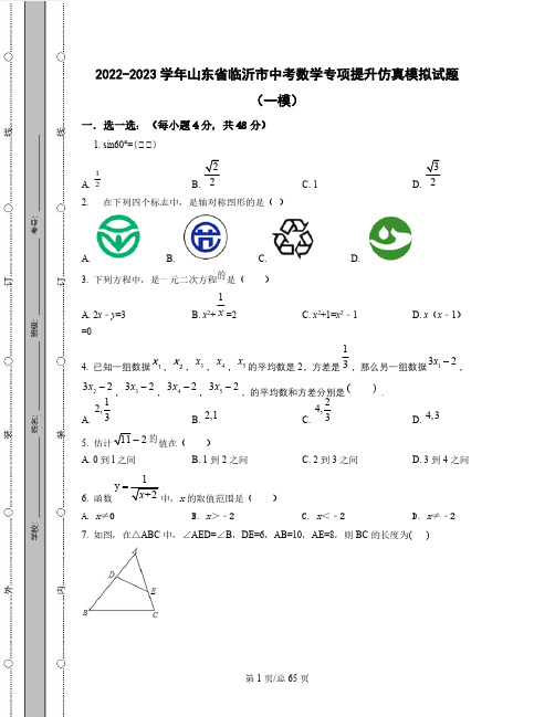 2022-2023学年山东省临沂市中考数学专项提升仿真模拟试题(一模二模)含解析