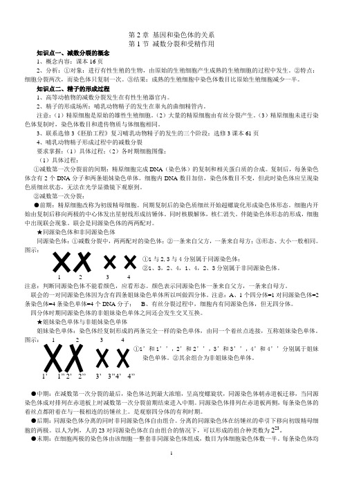 新人教版必修2遗传与进化第2章基因和染色体的关系高考复习知识点详解与例题