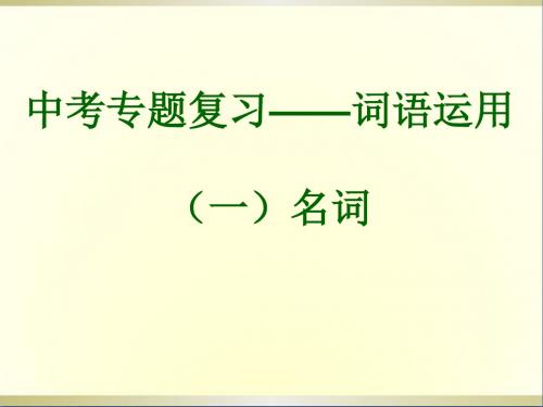 九年级英语全册《中考专题复习—词语运用》课件