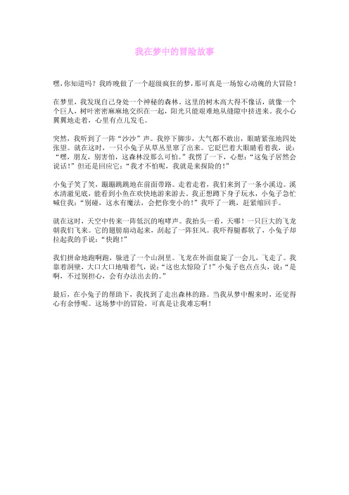 我在梦中的冒险故事