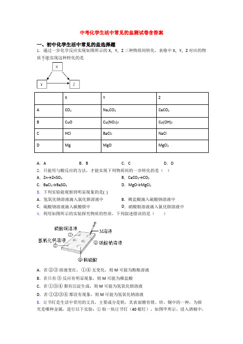 中考化学生活中常见的盐测试卷含答案