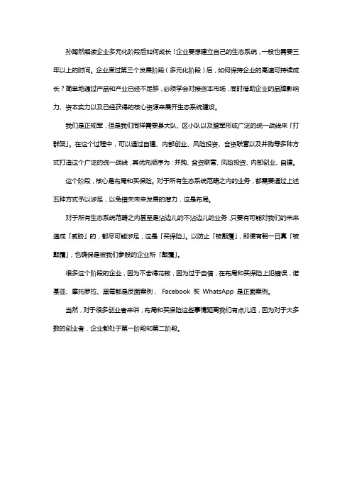 孙陶然解读企业多元化阶段后如何成长