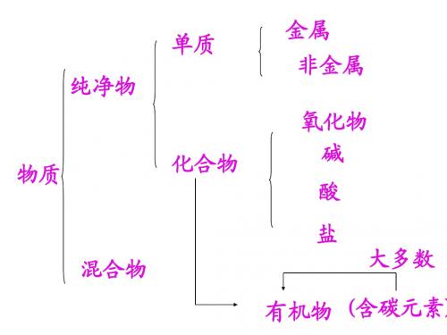 有机化合物的分类