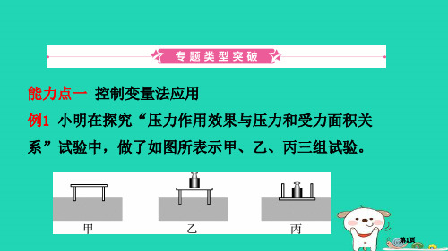 中考物理专题复习教案市赛课公开课一等奖省名师优质课获奖PPT课件