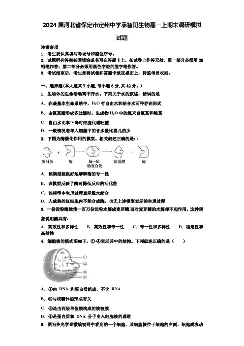 2024届河北省保定市定州中学承智班生物高一上期末调研模拟试题含解析