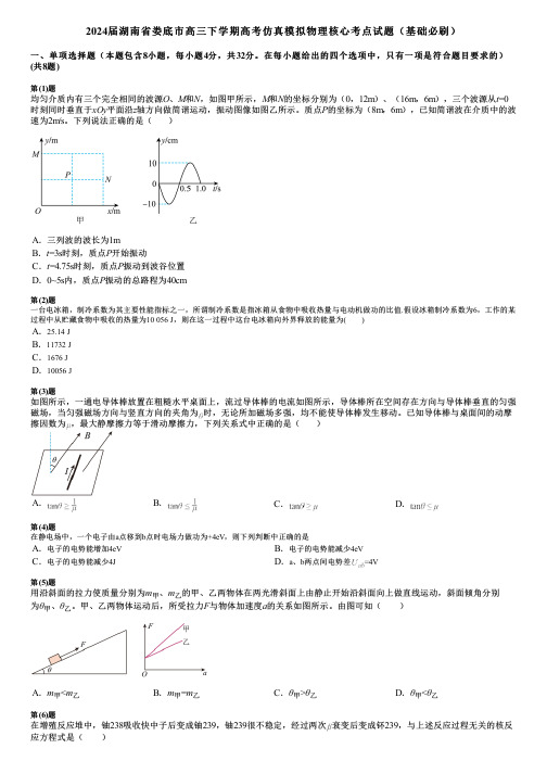 2024届湖南省娄底市高三下学期高考仿真模拟物理核心考点试题(基础必刷)