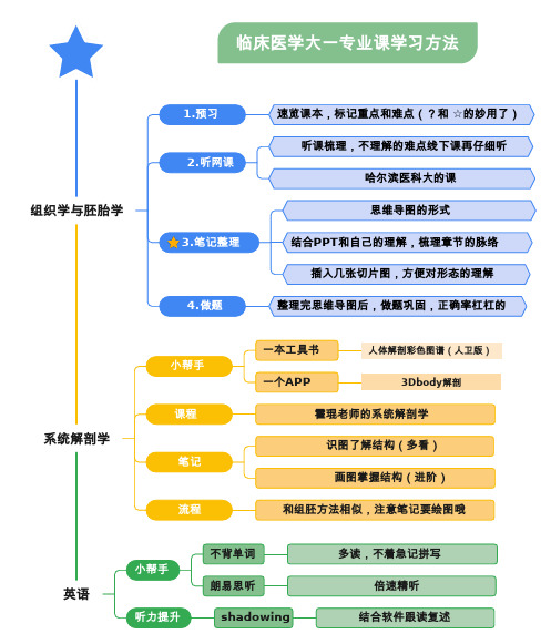 临床医学大一专业课学习方法