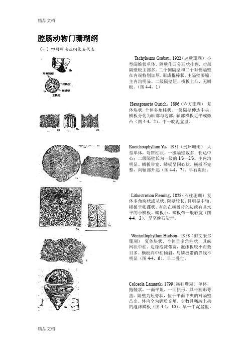 (整理)古生物化石鉴定.