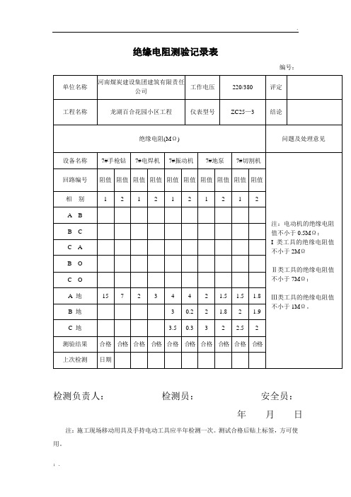 绝缘电阻测验记录表7