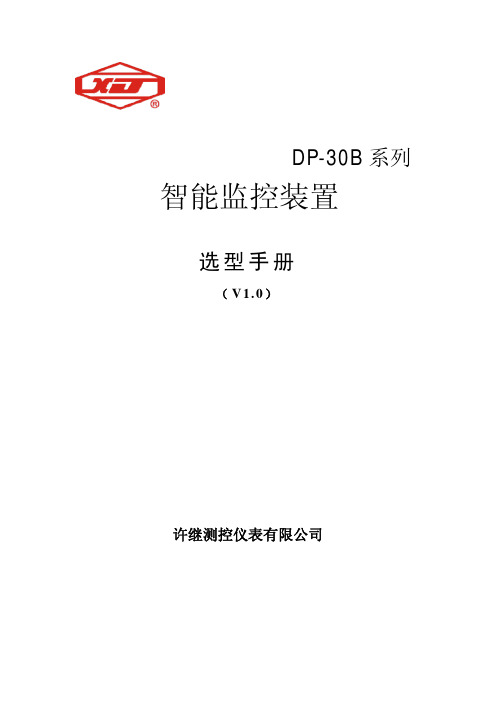 许继测控仪表有限公司DP-30B产品选型手册