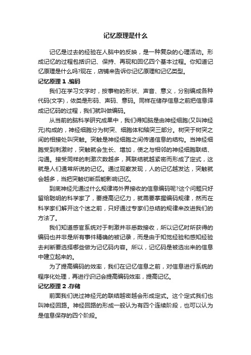 记忆原理是什么