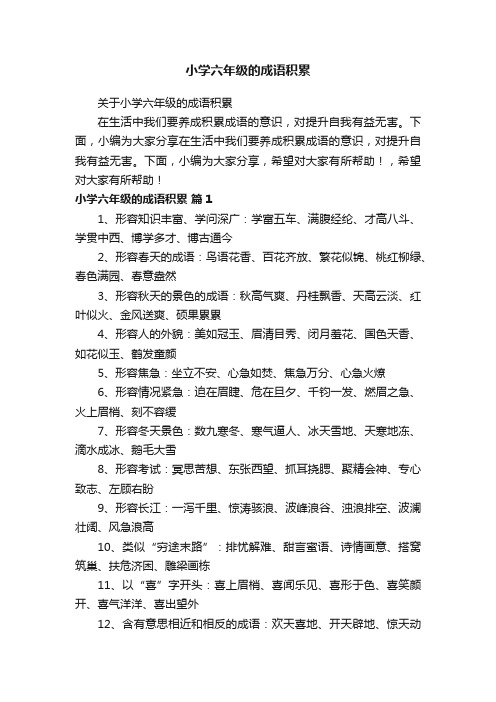 关于小学六年级的成语积累