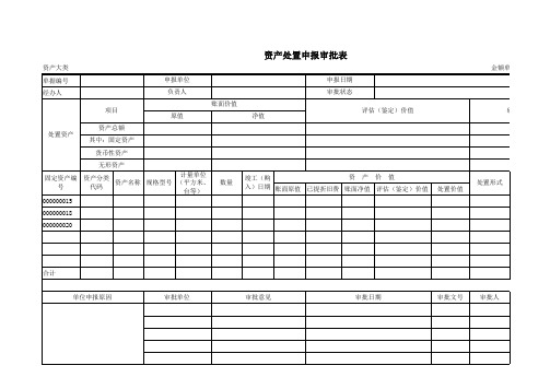 资产处置申报审批表(2)