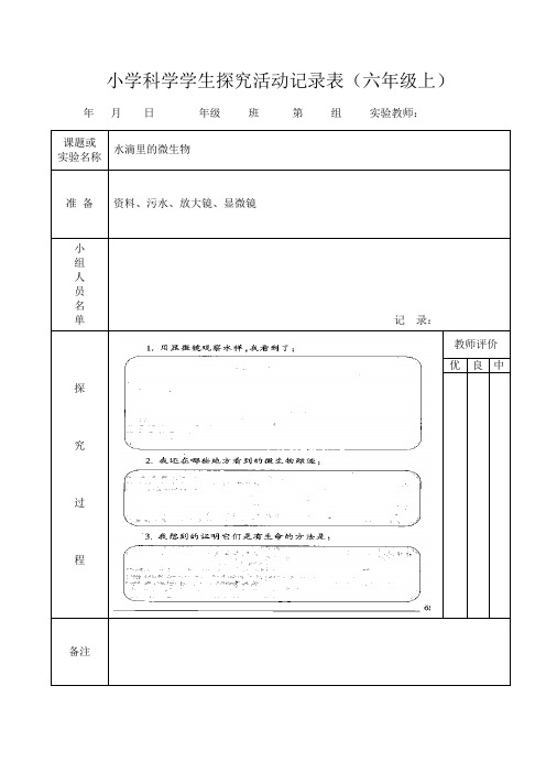 小学科学学生探究活动记录表(六年级上)