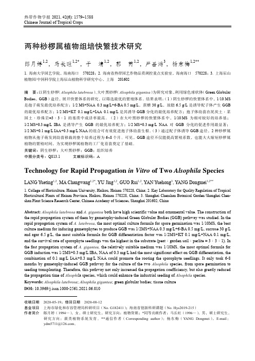 两种桫椤属植物组培快繁技术研究