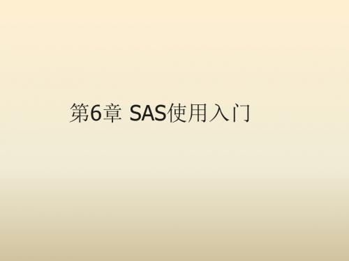 第六章 SAS使用入门