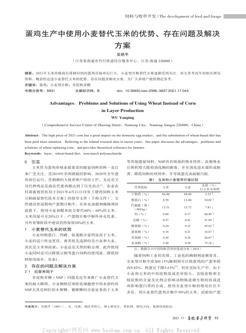 蛋鸡生产中使用小麦替代玉米的优势、存在问题及解决方案