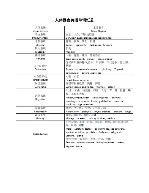 人体器官英语单词汇总